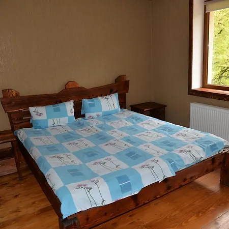 Syni Potoky * Svalyava