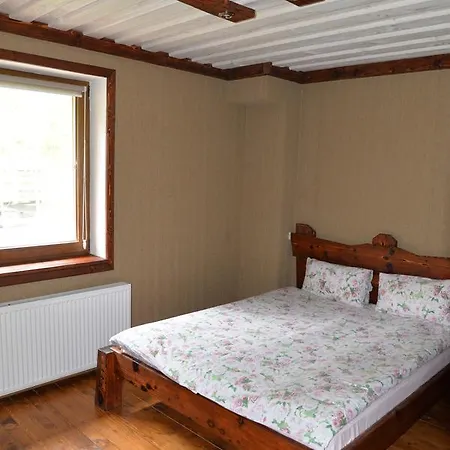 Syni Potoky * Svalyava