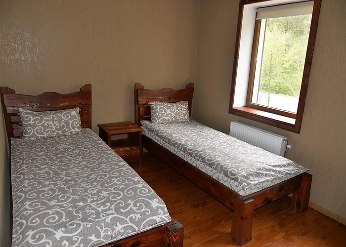 Syni Potoky