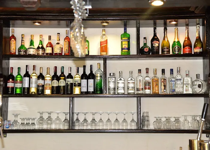 Syni Potoky Motel