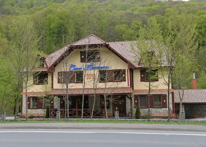 Motel Syni Potoky Svalyava