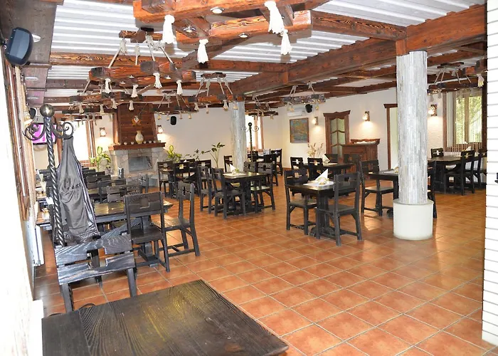 Syni Potoky Motel *