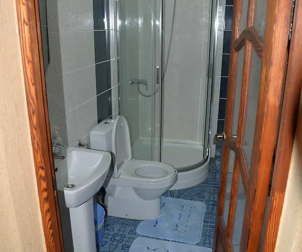 Syni Potoky Svalyava