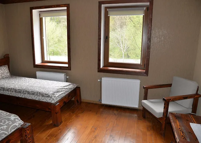Syni Potoky Motel Svalyava